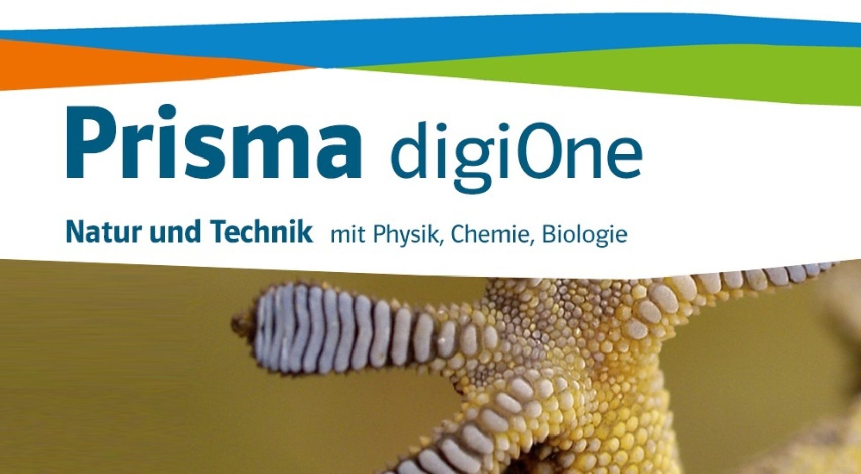 News digi One ohne logo 1387x539
