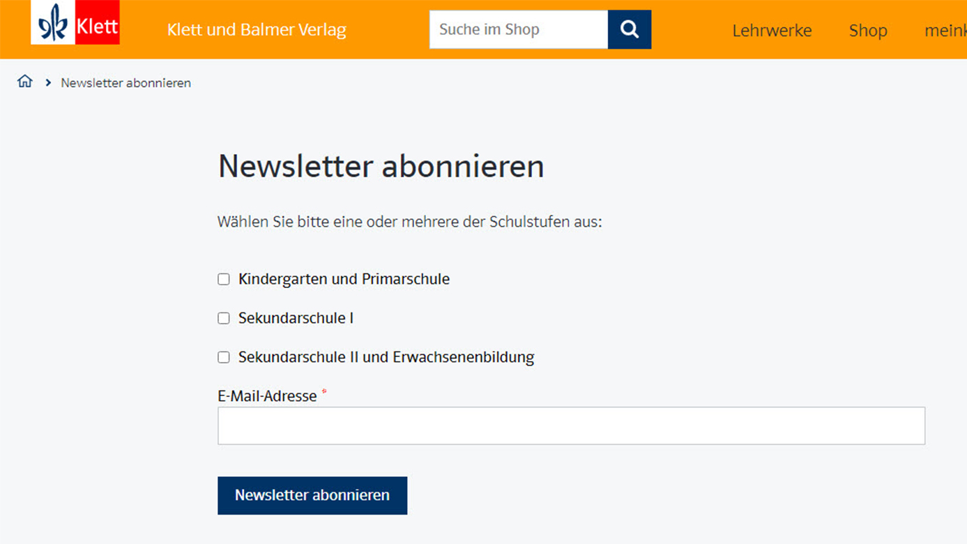 Screenshot Newsletter Formular formatiert